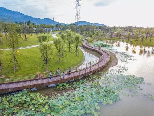 漳州西院湖生態園開放啦