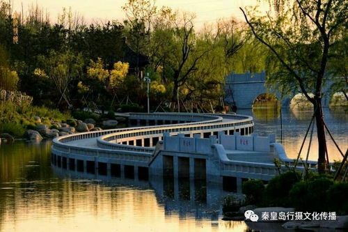戴河生態(tài)園,秦皇島錦繡藍圖上的一條精美飄帶