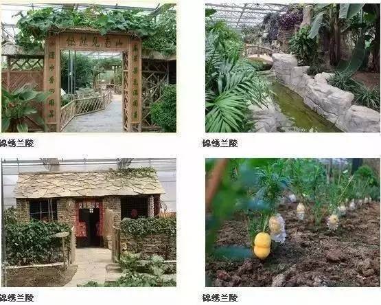 金秋之旅 蘭陵生態園賞向陽花、品美酒一日游