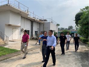 探秘九龍潭生態園 東莞城市生態明珠