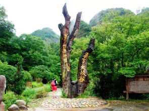 16周歲以下免票游世遺，668元泰寧雙動車2日游 大金湖、寨下大峽谷、九龍潭、尚書第全覽