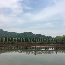 龍荷農業生態園與九龍潭生態園游覽指南 聯系方式、地址與營業時間