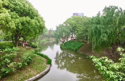 常熟奉賢手牽手，九龍潭生態園繪就跨區域文旅新篇章