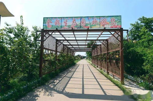 武清梅廠九龍潭生態園 一隅桃源的詩意棲居