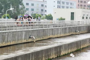 2016市民環保開放日 走進污水處理廠與濕地，共筑綠色東部生態園——九龍潭生態園活動回顧
