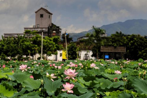 快看！博羅九龍潭生態園入選惠州市第二批鄉村旅游精品線路