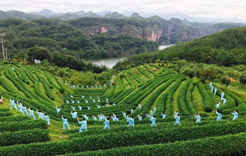 浴境元康養之氣，九龍潭生態園祝您端午安康